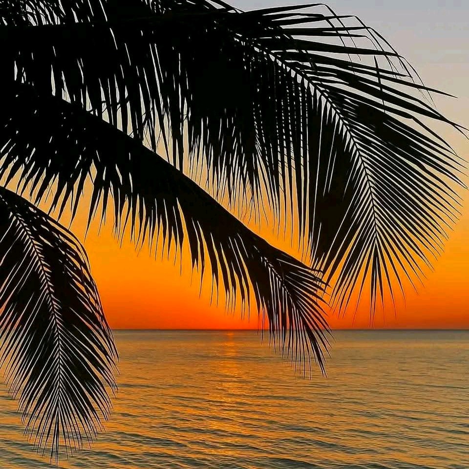 4 Days Zanzibar Tours Package