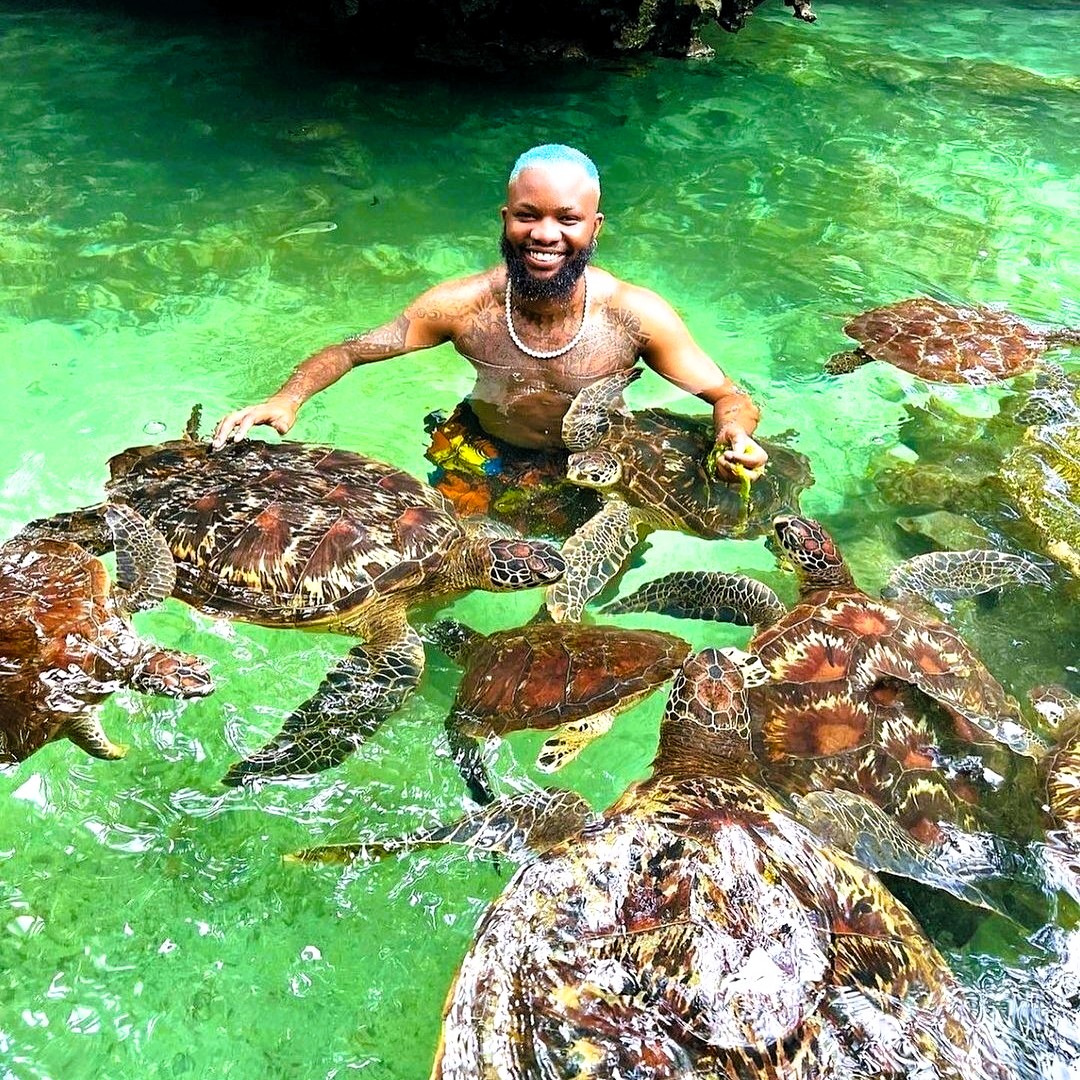 Turtle conservation and rehabilitation