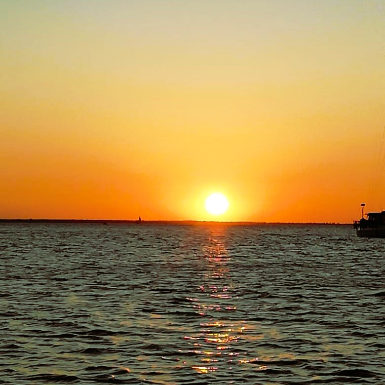 Beautiful dhow sailing at sunset