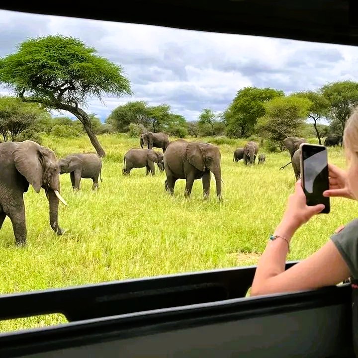 Ngorongoro National Park Day Trip
