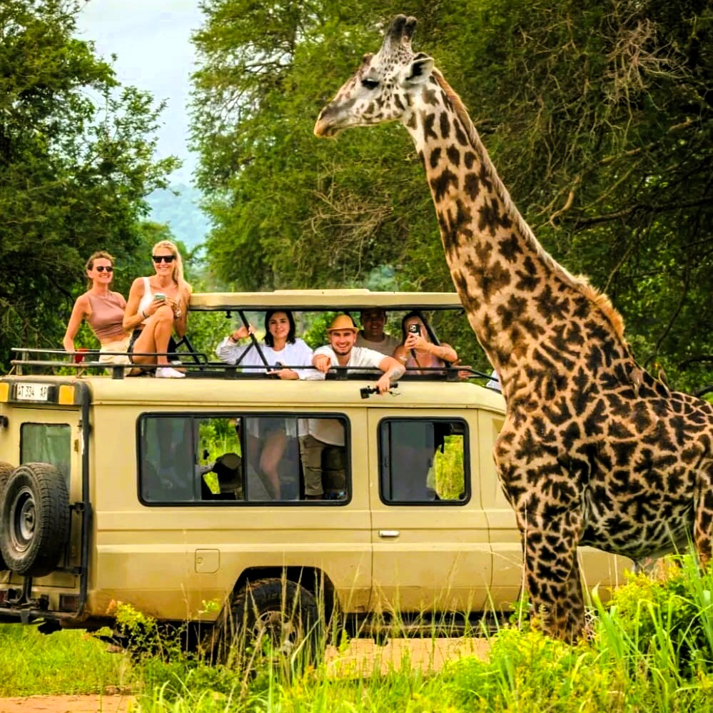 Safari vehicle game drive in Tarangire National Park