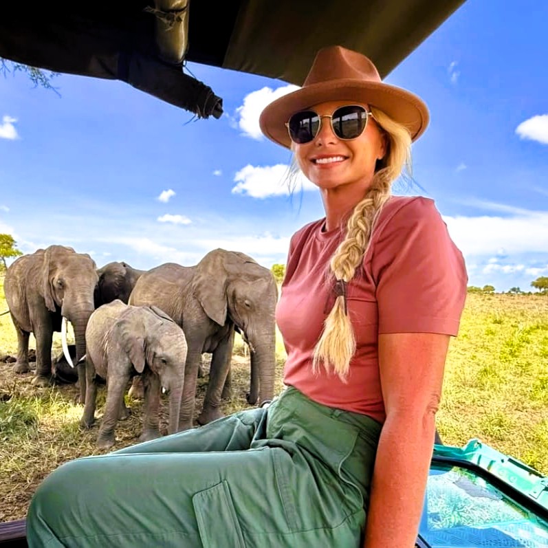 Serengeti plains with a safari vehicle and distant wildlife