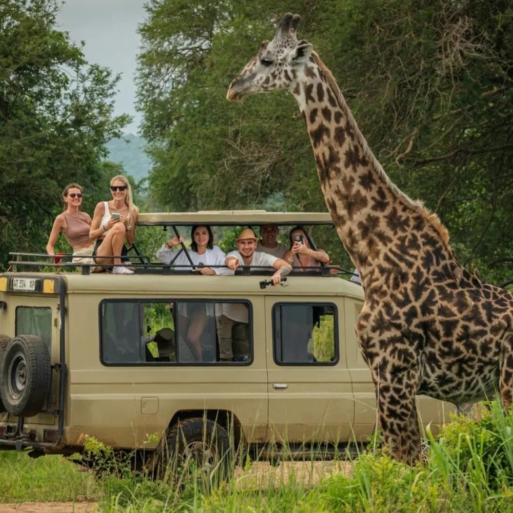 Ngorongoro Crater wildlife scene with zebras and grazing animals